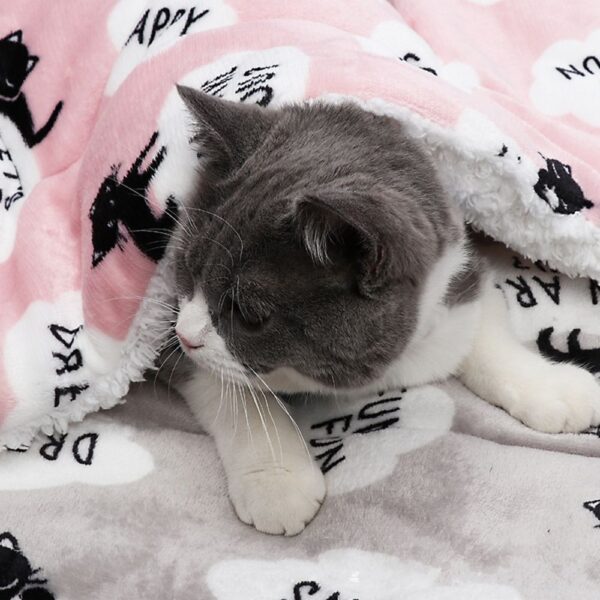 Pet Soft Fleece Blanket